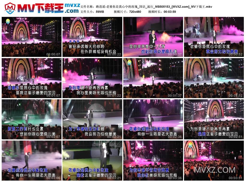 路逍遥-老婆你是我心中的玫瑰_国语_流行_MB505153